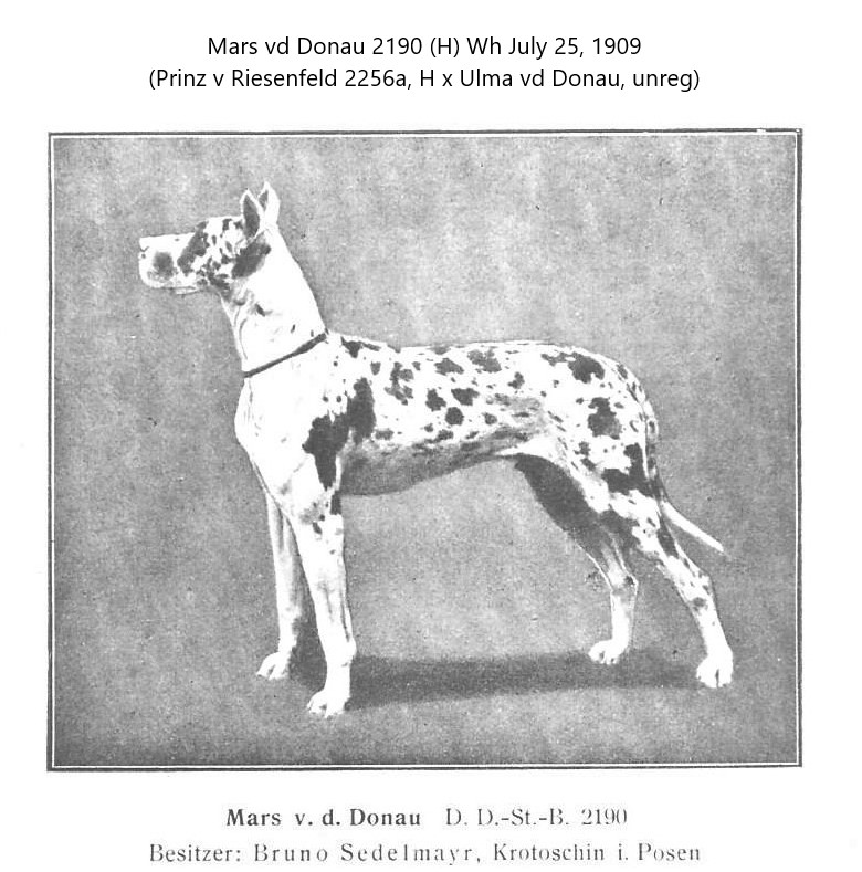 Mars vd Donau